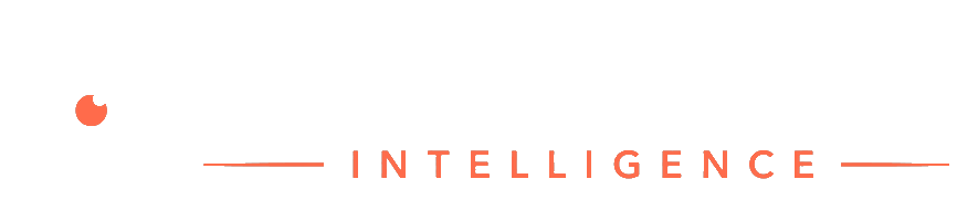 Smart Vision Intelligence
